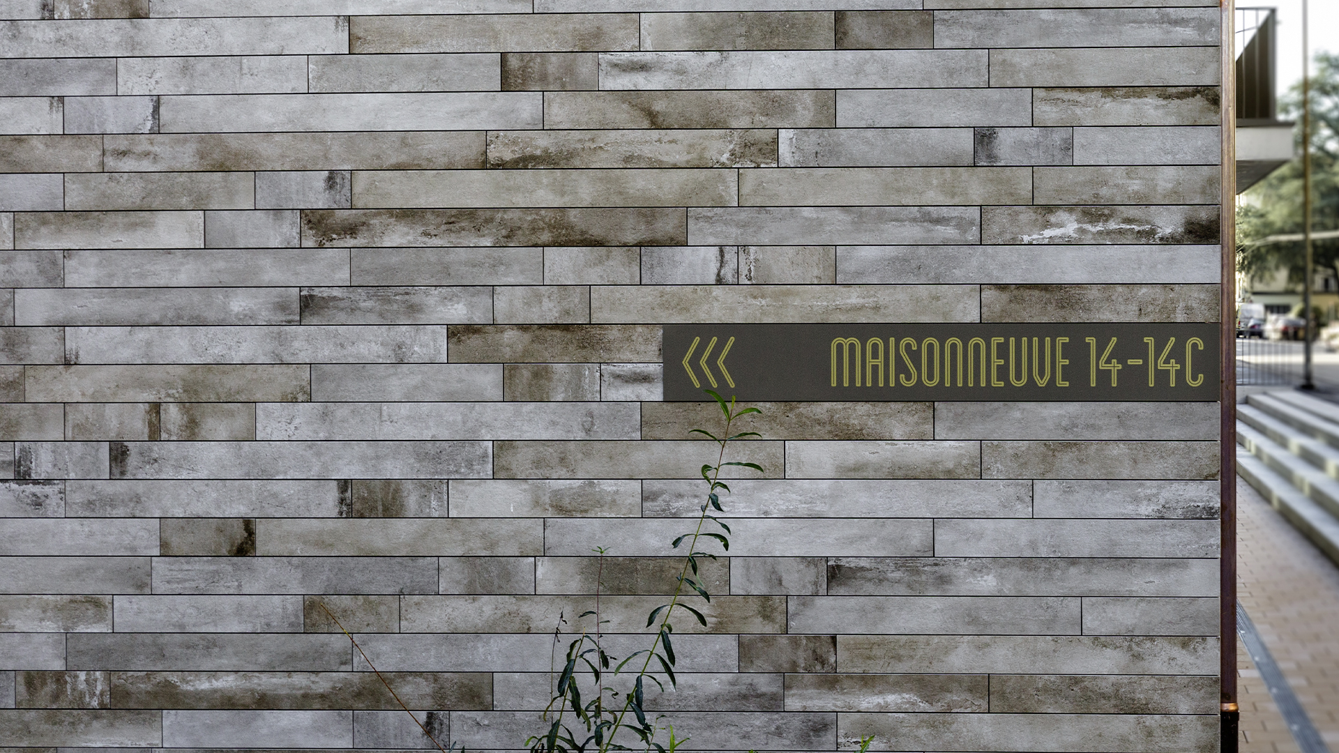 Maisonneuve